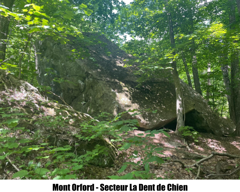 La Dent de Chien