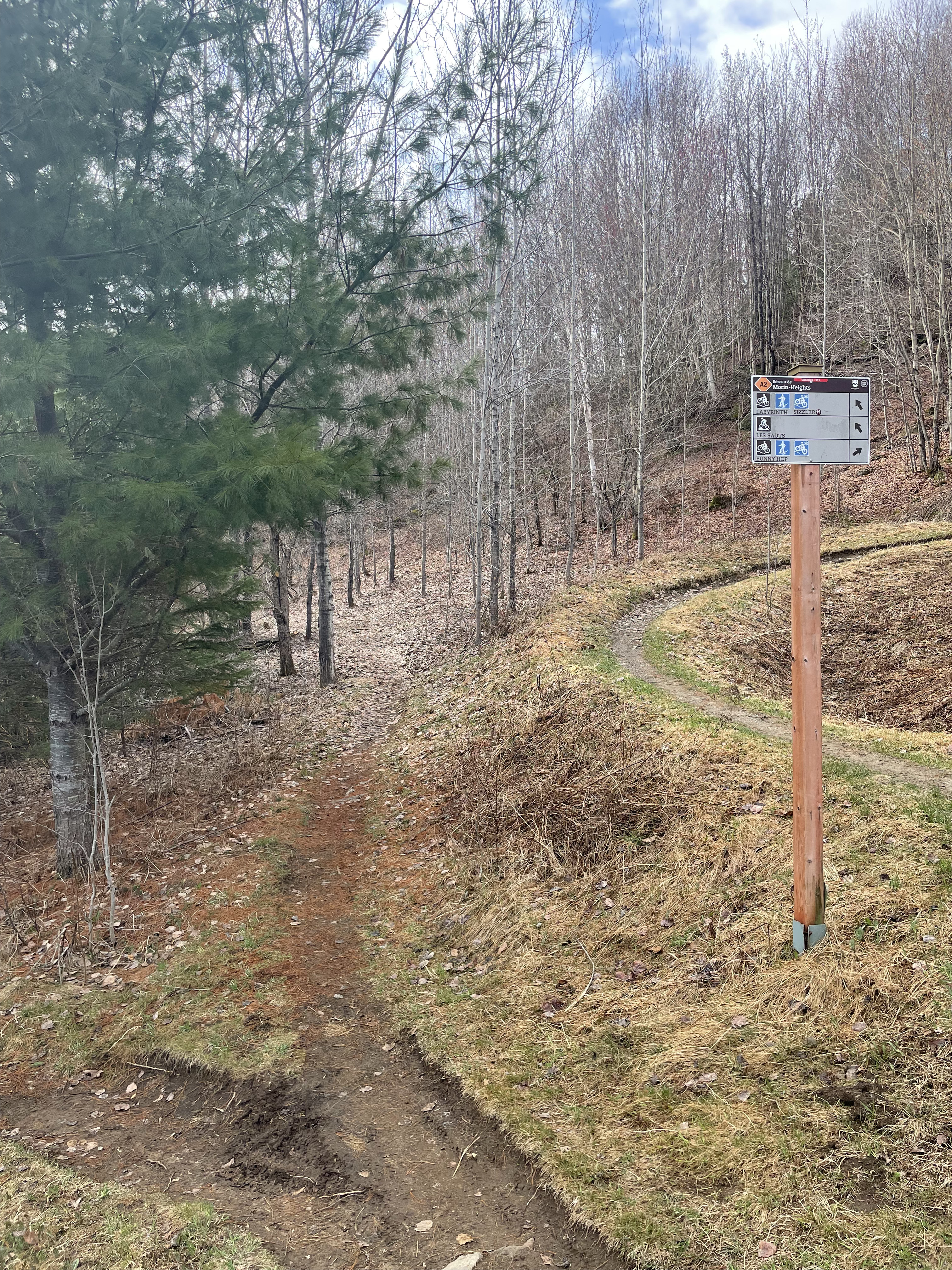 Parc Basler